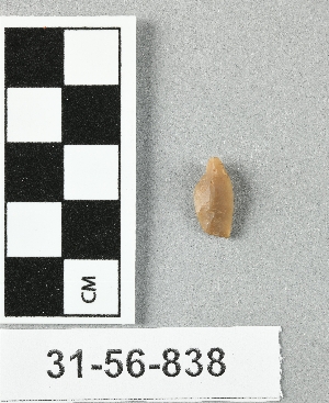 31-56-838