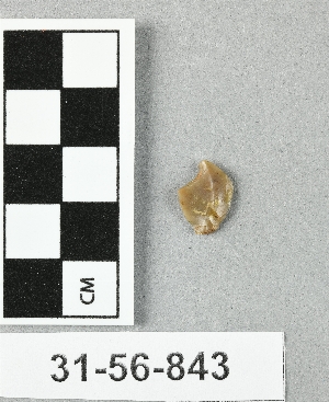 31-56-843