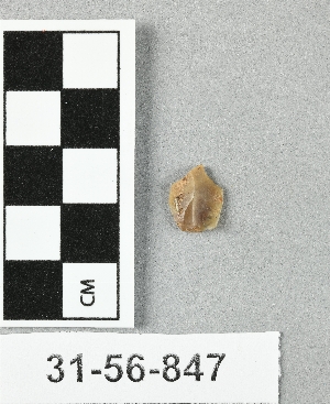 31-56-847