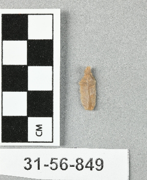 31-56-849