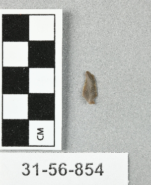31-56-854