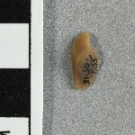 939861