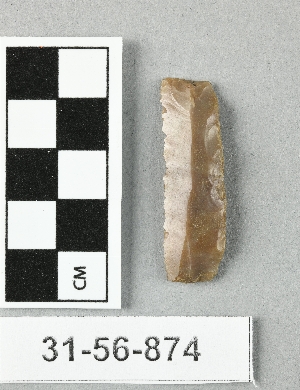 31-56-874