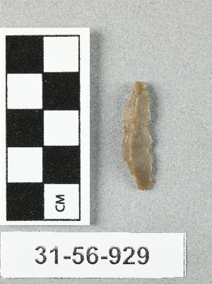 31-56-929