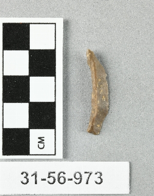 31-56-973