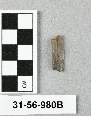 31-56-980B