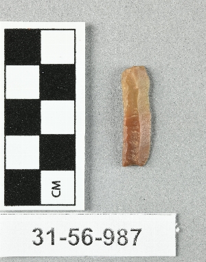 31-56-987