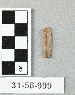 31-56-999