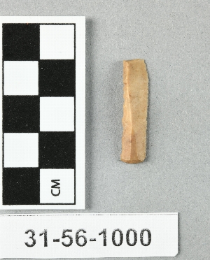 31-56-1000