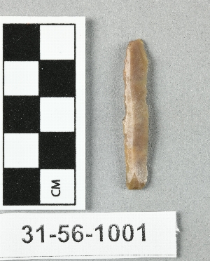 31-56-1001