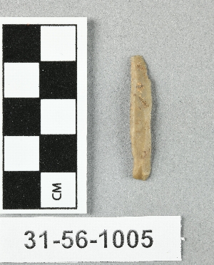 31-56-1005