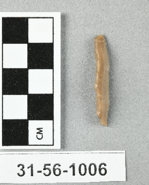 31-56-1006