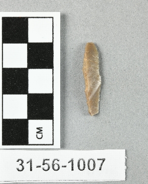 31-56-1007