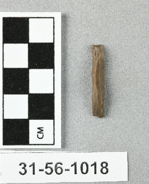 31-56-1018
