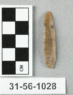 31-56-1028