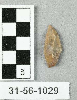 31-56-1029