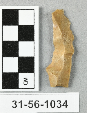 31-56-1034