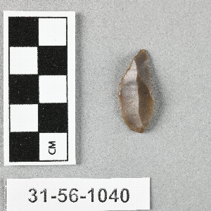 31-56-1040