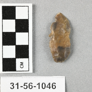 31-56-1046