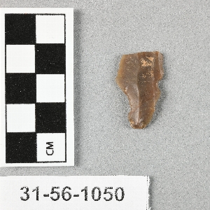 31-56-1050