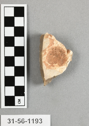 31-56-1193