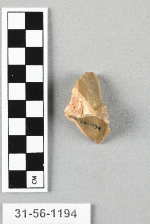31-56-1194