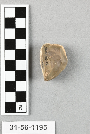 31-56-1195