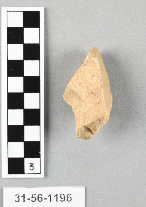 31-56-1196