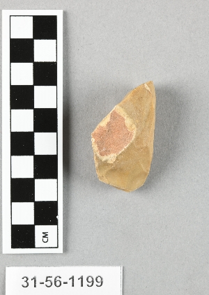 31-56-1199