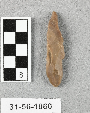 31-56-1060