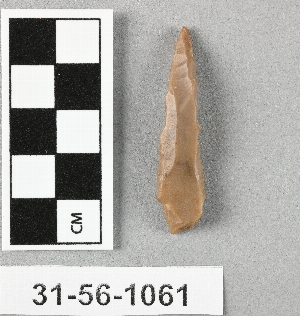 31-56-1061