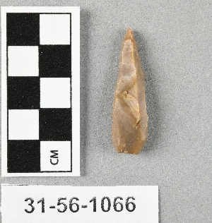31-56-1066