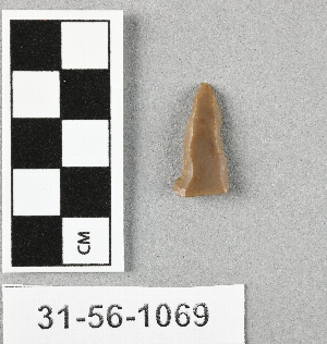 31-56-1069