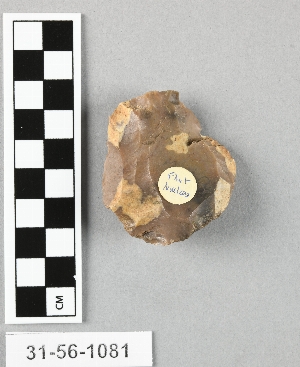 31-56-1081