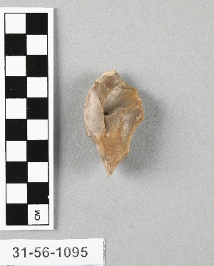 31-56-1095