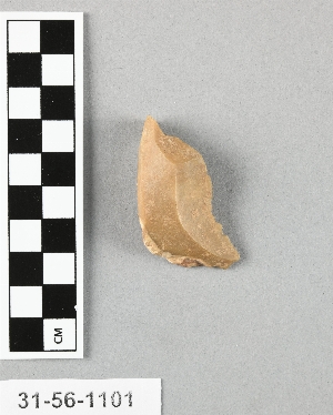 31-56-1101