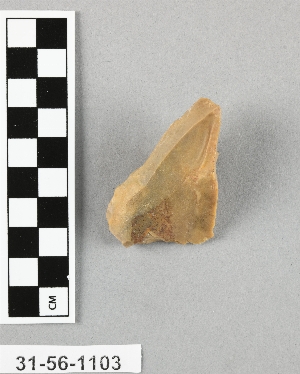 31-56-1103