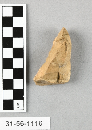 31-56-1116