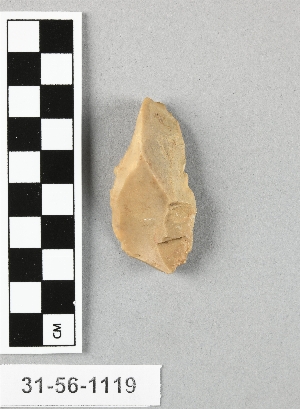31-56-1119
