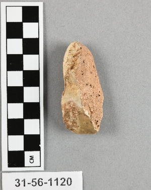31-56-1120