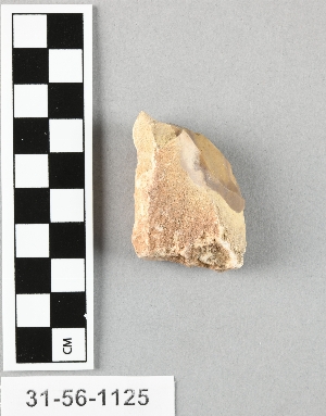 31-56-1125