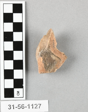 31-56-1127