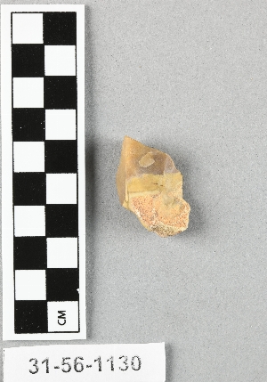 31-56-1130