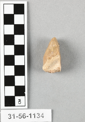 31-56-1134