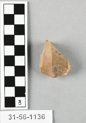 31-56-1136
