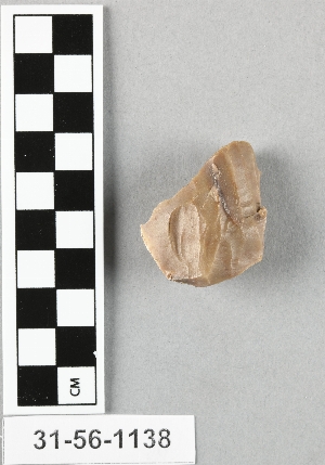 31-56-1138