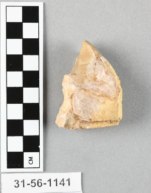 31-56-1141