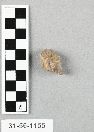 31-56-1155