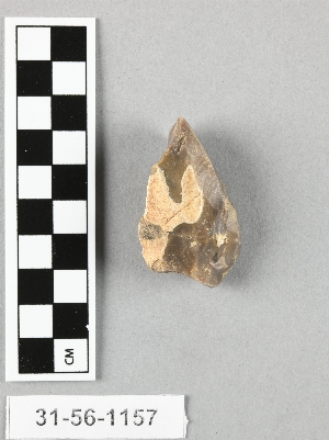 31-56-1157