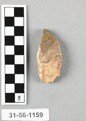 31-56-1159